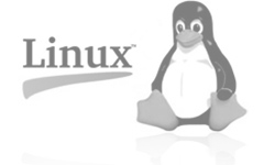 linux server logo